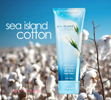 Body Cream - Sea Island Cotton /226g